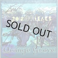 ORANGE GROVE / A Bistch Called Irma  (オランダ)