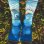 画像7: ラスト1足で終了 MERGE4 SOCKS / SUBLIME - Bradley's House ソックス