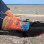 画像12: ラスト1足で終了 MERGE4 SOCKS / SUBLIME - Everything Under the Sun ソックス