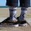 画像4: ラスト1足で終了 MERGE4 SOCKS / FOO FIGHTERS - Horns ソックス