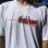 画像2: Lラスト1枚で終了 SUBLIME / Shadow Logo Tシャツ (2)