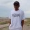 画像2: PICKLE STIX SURFBOARDS (Smelly of NOFX) / Big OG Tシャツ WHITE (2)