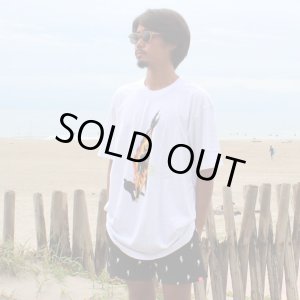 画像1: XLラスト1枚で終了 NOFX / Surfer Tシャツ
