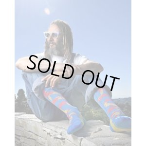 画像1: ラスト1足で終了 MERGE4 SOCKS / TONY ALVA - LOGO ソックス