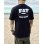 画像2: Mサイズラスト1枚で終了 FAT WRECK CHORDS / Fat Logo Tシャツ (2)