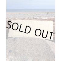 ラスト1枚で終了 LONGBEACH DUB ALLSTARS / カッティングステッカー ホワイト