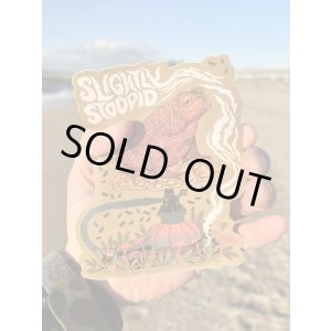 画像1: ラスト1枚で終了 SLIGHTLY STOOPID / Methane Toad ステッカー