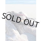 売り切り1枚 SUBLIME / 40oz Sun マスク