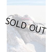 売り切り1枚 SUBLIME / 40oz Sun マスク