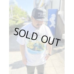 画像2: XLサイズラスト1枚で終了 SUBLIME / Pool Photo Tシャツ