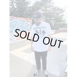 画像2: BEASTIE BOYS / Bees Tea Tシャツ ホワイト
