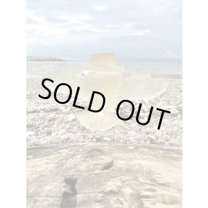 画像7: 激レア 50個限定生産中 ラスト1個で終了 送料無料 DGWD / MR. NITE OWL フィギュア 50個限定生産 1stプレス FROSTER CLEAR