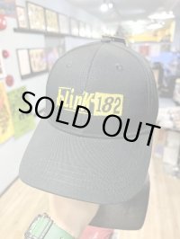 ラスト1枚で終了 BLINK-182 / Modern Logo スナップバックキャップ