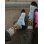画像1: MERGE4 SOCKS / SUBLIME - SUBLIME SUN BLUE ソックス (1)