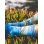 画像4: ラスト1足で終了 MERGE4 SOCKS / SUBLIME - Bradley's House ソックス