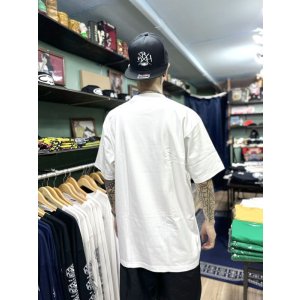 画像5: SRH / SNAKE HEAVYWEIGHT Tシャツ WHITE
