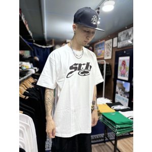 画像3: SRH / SNAKE HEAVYWEIGHT Tシャツ WHITE