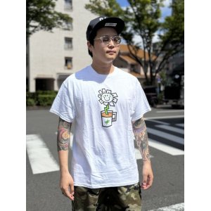 画像2: 売り切れ次第廃番 GREEN DAY OAKLAND COFFEE WORKS / FLOWER POT Tシャツ WHITE