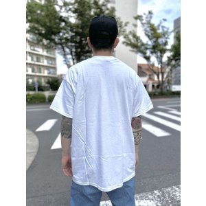 画像6: 売り切れ次第廃番 2XLサイズラスト1枚で終了 GREEN DAY OAKLAND COFFEE WORKS / KERPLUNK Tシャツ WHITE