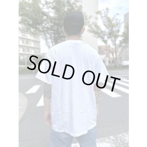 画像6: 売り切れ次第廃番 2XLサイズラスト1枚で終了 GREEN DAY OAKLAND COFFEE WORKS / KERPLUNK Tシャツ WHITE