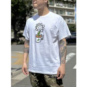 画像3: 売り切れ次第廃番 GREEN DAY OAKLAND COFFEE WORKS / FLOWER POT Tシャツ WHITE