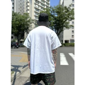 画像5: FUCKIN' MELLOW CLOTHING / BALL&CHAIN artwork by PICTURE MOUSE 半袖 Tシャツ WHITE