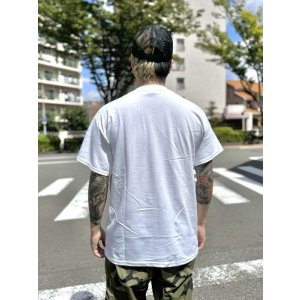 画像6: 売り切れ次第廃番 GREEN DAY OAKLAND COFFEE WORKS / FLOWER POT Tシャツ WHITE
