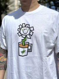 売り切れ次第廃番 GREEN DAY OAKLAND COFFEE WORKS / FLOWER POT Tシャツ WHITE