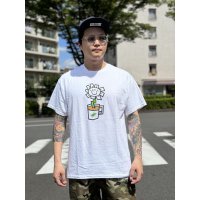 売り切れ次第廃番 GREEN DAY OAKLAND COFFEE WORKS / FLOWER POT Tシャツ WHITE