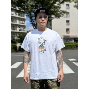画像1: 売り切れ次第廃番 GREEN DAY OAKLAND COFFEE WORKS / FLOWER POT Tシャツ WHITE