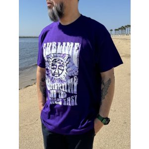 画像3: カリフォルニア買付アイテム 送料無料 Lサイズ1枚のみの入荷 SUBLIME / Summertime Tシャツ