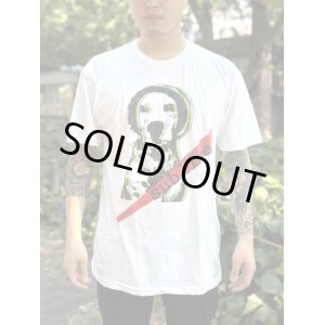 画像1: 送料無料 カリフォルニア買付アイテム Mサイズラスト1枚で終了 SUBLIME / Lou Dog Tシャツ