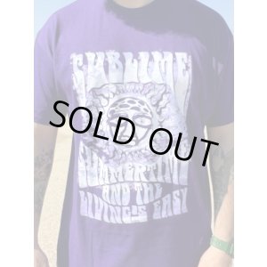 画像2: 送料無料 Mサイズラスト1枚で終了 カリフォルニア買付アイテム SUBLIME / Summertime Tシャツ