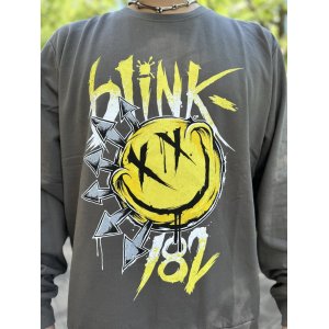 画像2: 送料無料 Lサイズラスト2枚で終了 Blink-182 / Big Smile スウェット