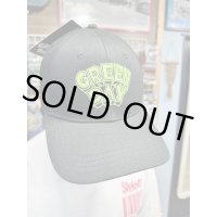 2450円OFF GREEN DAY / Dookie Logo スナップバックキャップ