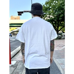 画像5: XLサイズラスト1枚で終了 LONG BEACH DUB ALLSTARS / Classic Logo Tシャツ ホワイト