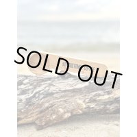 ラスト1個で終了 DOGTOWN COFFEE / ウッドメジャーカップ