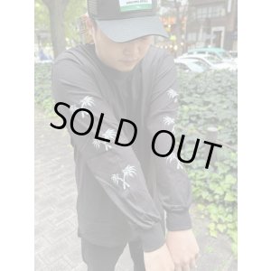 画像7: 送料無料 Lサイズ限定1枚のみ minos / X Palm Tree 長袖Tシャツ ブラック