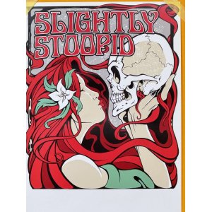 画像2: SUBLIME DJ PRODUCT 買い付けアイテム Slightly Stoopid / X-Ray Skull Kiss ポスター (43センチx28センチ)