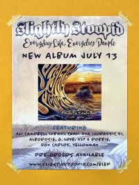SUBLIME DJ PRODUCT 買い付けアイテム Slightly Stoopid / Everything Life, Everyday People ポスター (61センチx46センチ)