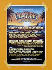SUBLIME DJ PRODUCT 買い付けアイテム CALI VIBES / 2023 ポスター (43センチx28センチ)