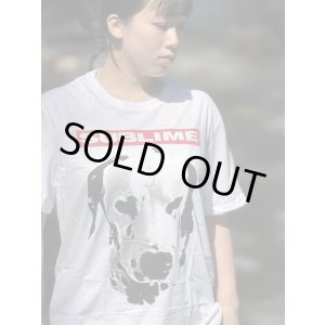 画像10: Lサイズラスト1枚で終了 SUBLIME / Lou Dog Tシャツ