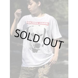 画像9: Lサイズラスト1枚で終了 SUBLIME / Lou Dog Tシャツ
