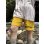 画像13: 送料無料 FUCKIN' MELLOW CLOTHING / "Hula Logo" designed by LOWHIDE コーデュロイ イージーショーツ イエロー