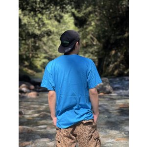 画像6: DESCENDENTS x ALL Tシャツ ブルー SST Records Official