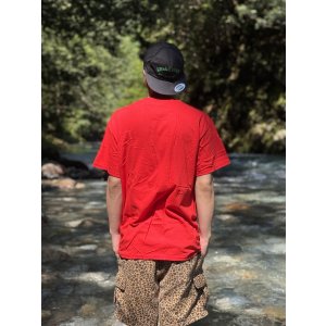 画像7: ALL / Allroy Sez Tシャツ レッド SST Records Official