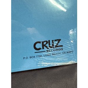 画像9: 5枚のみ限定入荷 ALL / Allroy Saves 12インチ レコード SST Records Official 新品未開封