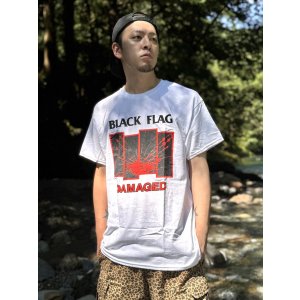 画像1: BLACK FLAG / Damaged Tシャツ ホワイト SST Records Official