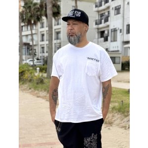 画像4: 送料無料 MORE FUCK / Opie Owl ポケットTシャツ ホワイト