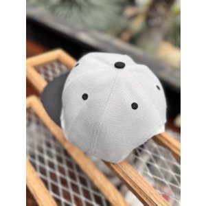 画像7: FUCKIN' MELLOW CLOTHING x PICTURE MOUSE / スナップバックキャップ グレー/グリーン